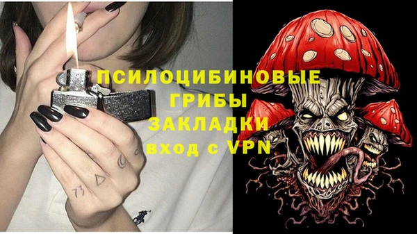 бошки Богданович